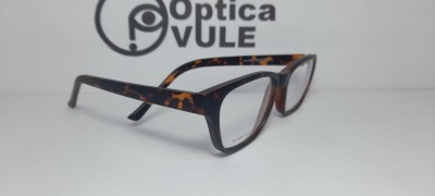 promocion